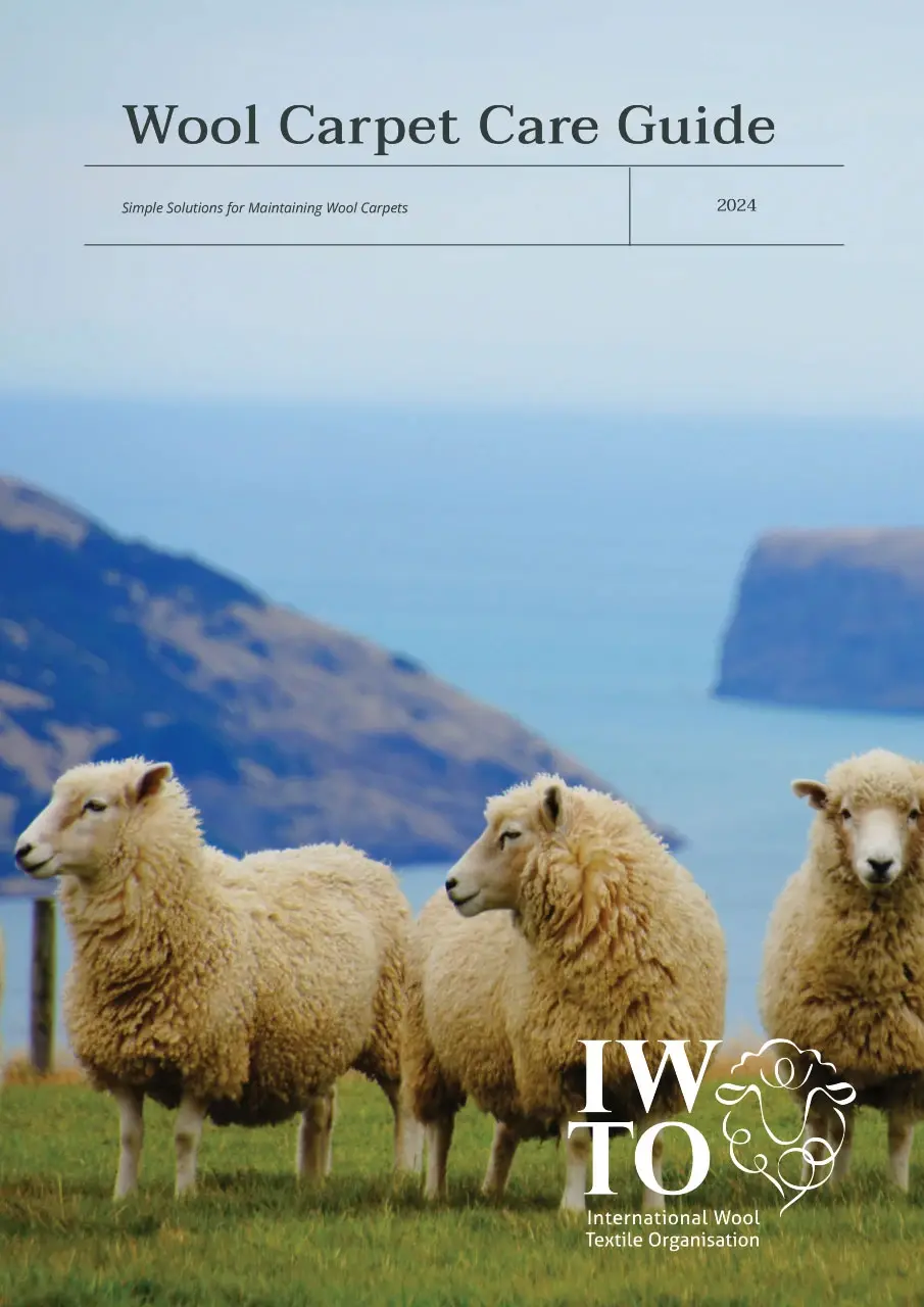 Wool Carpet Care and Maintenance – Short Guide Digital 2024