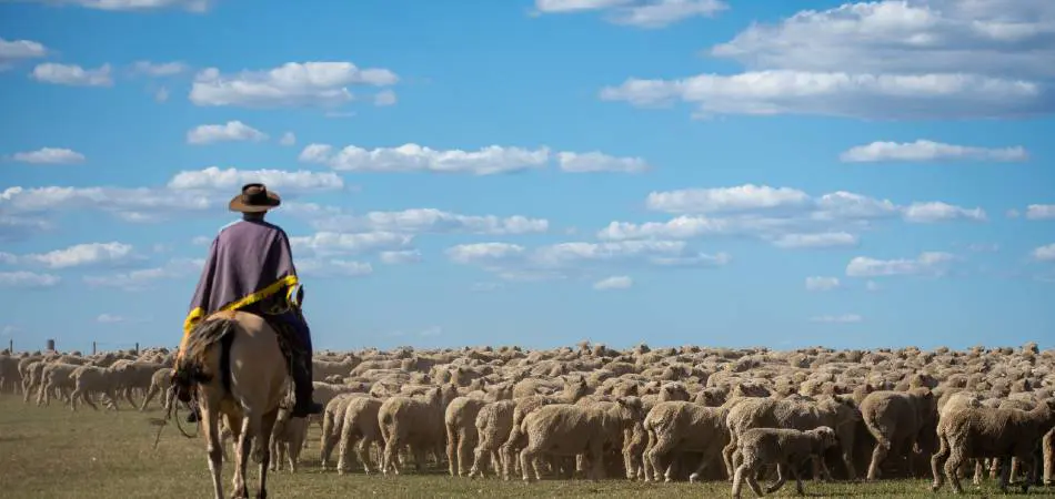 Rangelands and Pastoralists