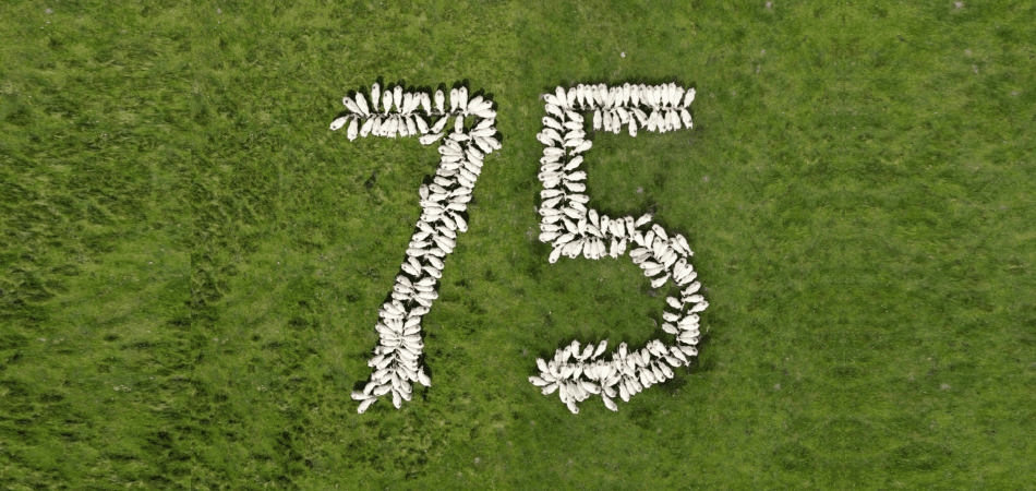 IWTO discuss 75 years of British Wool